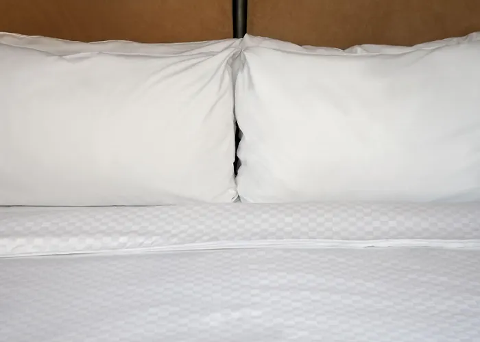 Four Points By Sheraton Medical Center